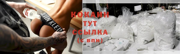 амф Бородино