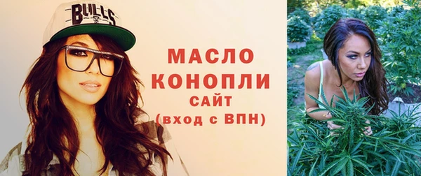 амф Бородино