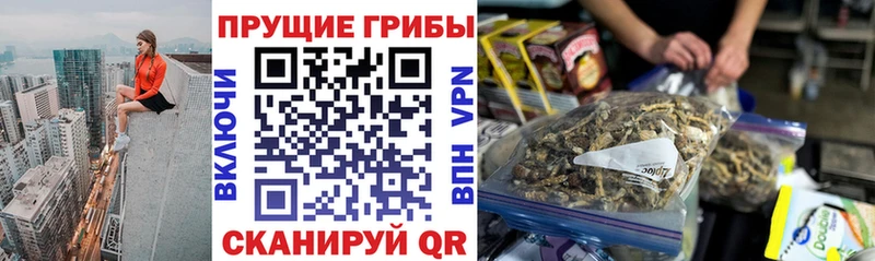Псилоцибиновые грибы прущие грибы  Купить  Балахна 